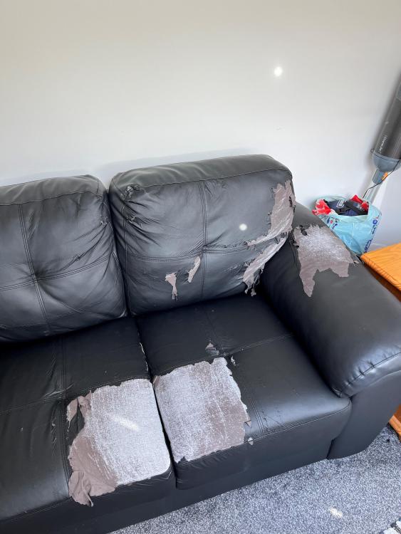 Sofa damage.jpg
