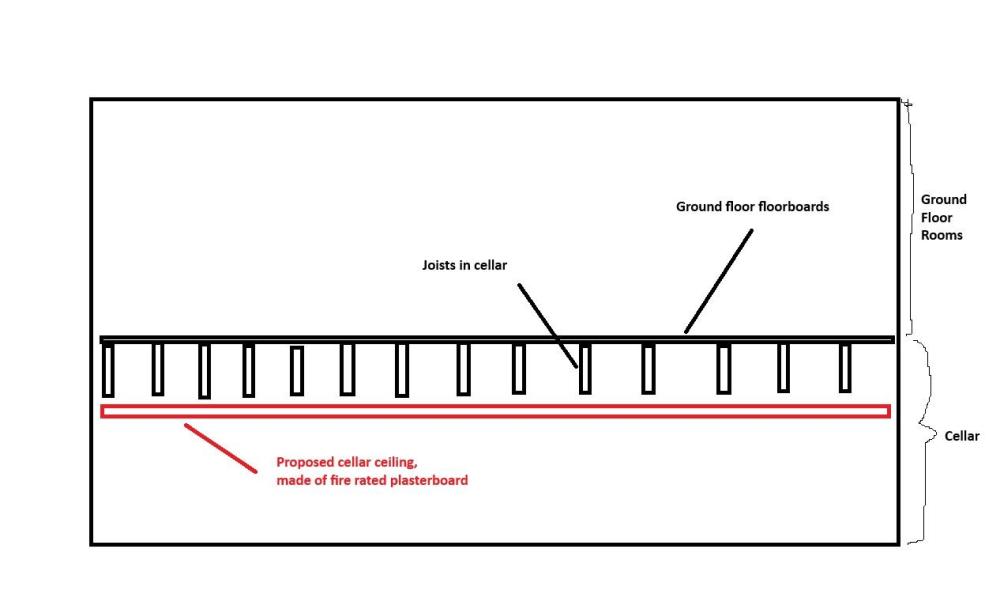 cellar ceiling suggestion 2024.jpg